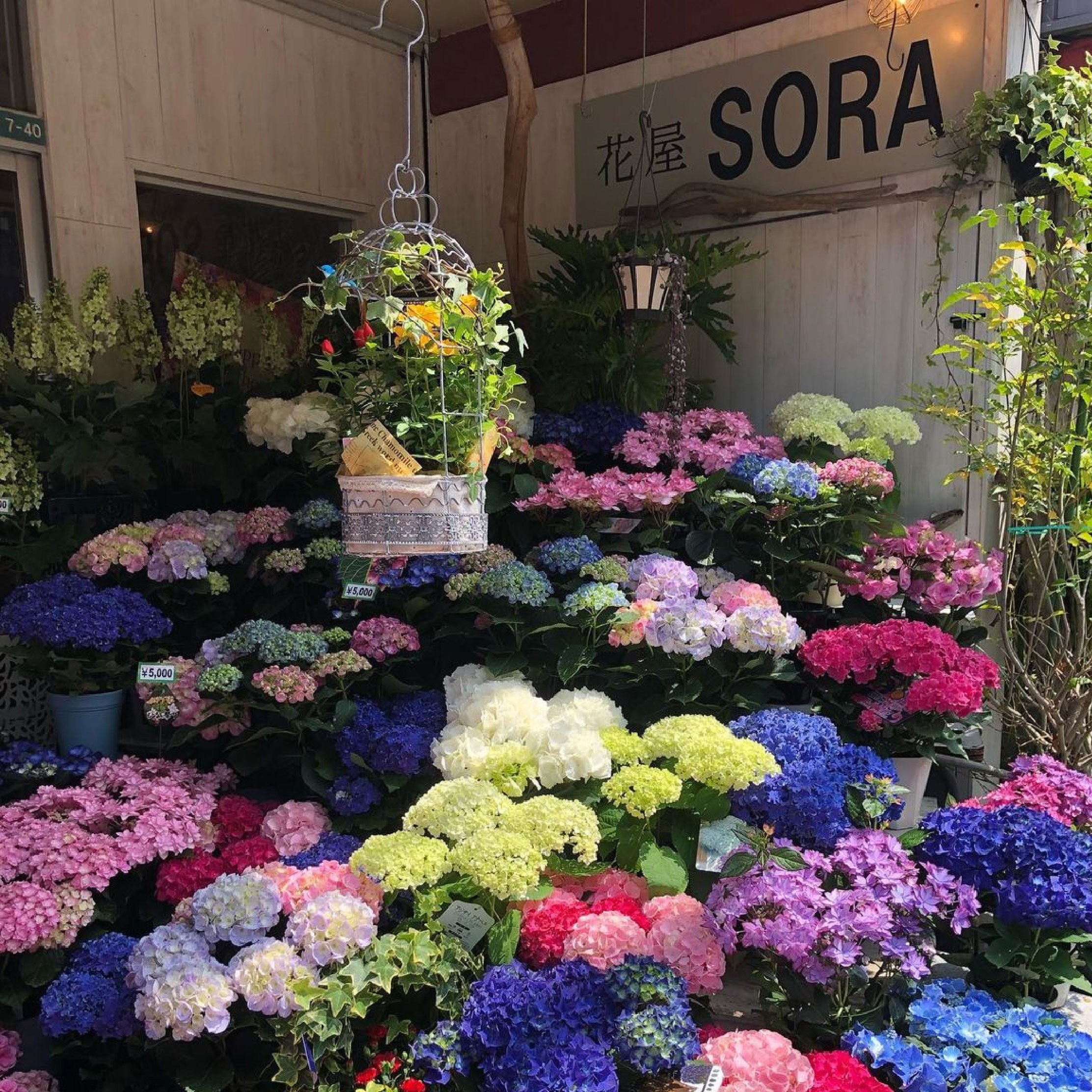 花屋 SORA